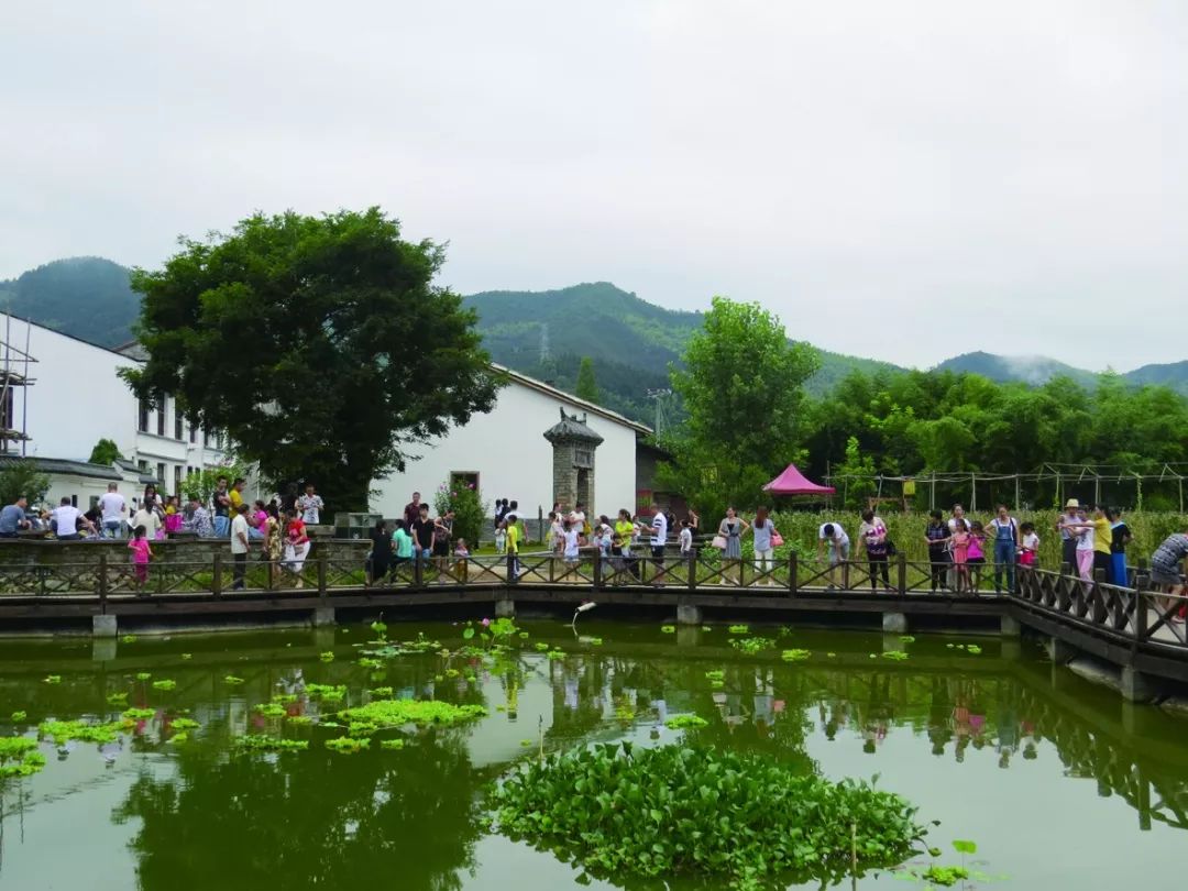 建瓯小松镇湖头村图片