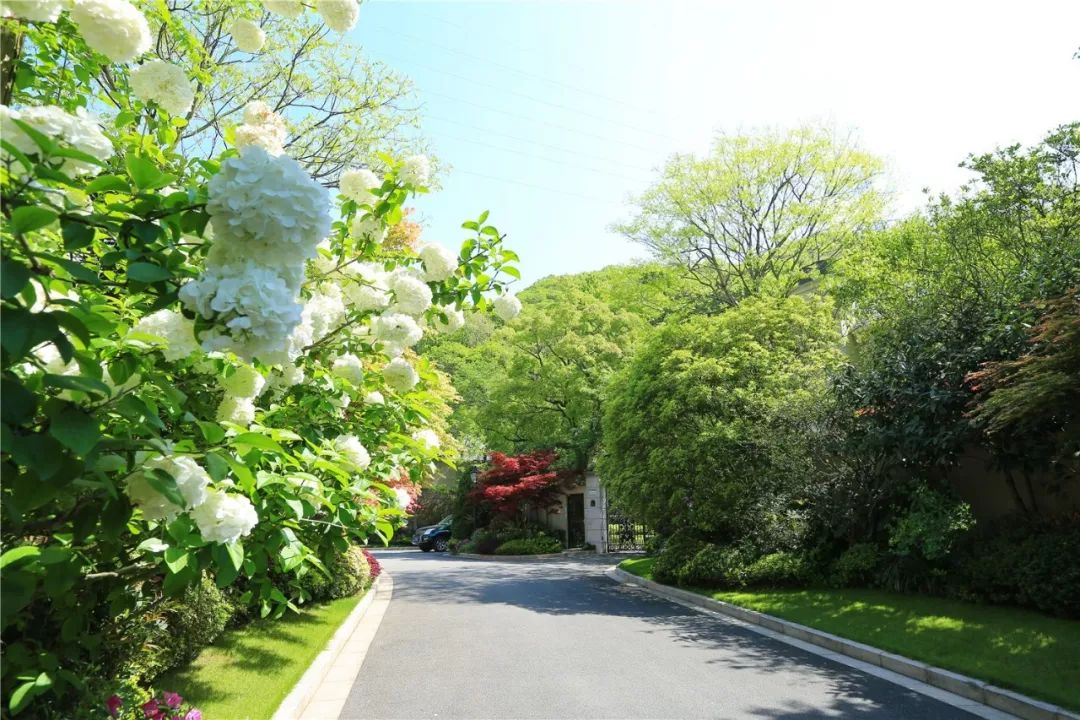 人文经典项目舟山玫瑰园