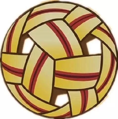 体坛风云体育万花筒藤球