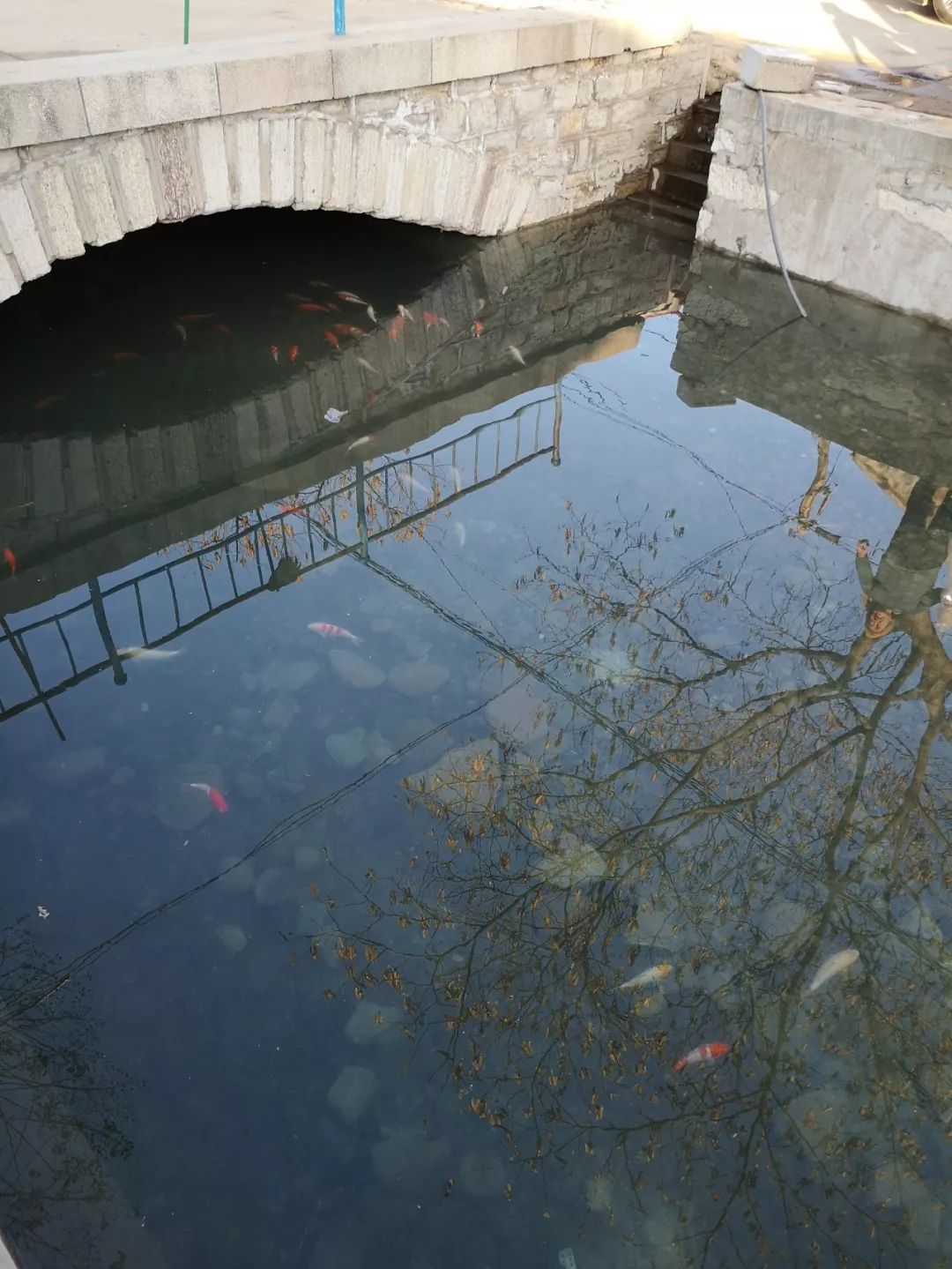 美丽静谧的小山村磨砚池村