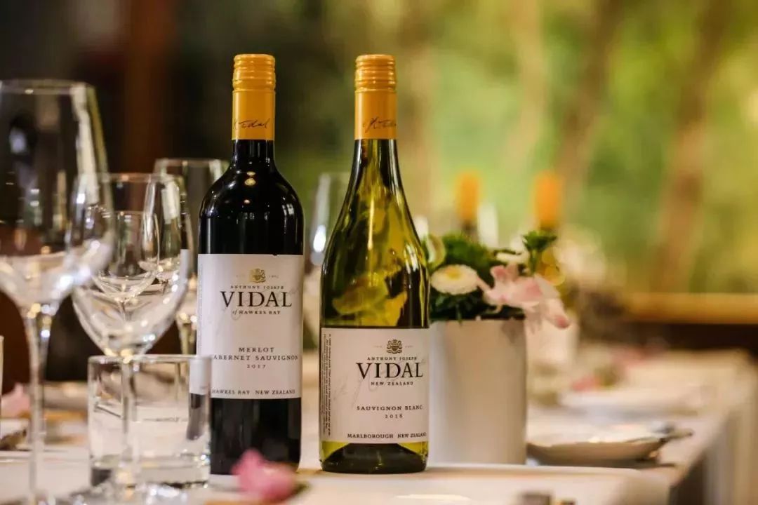 沉迷,舌尖上的新西兰之夜