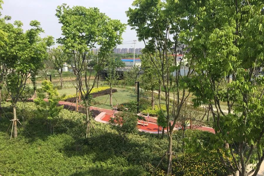 青浦体育公园图片