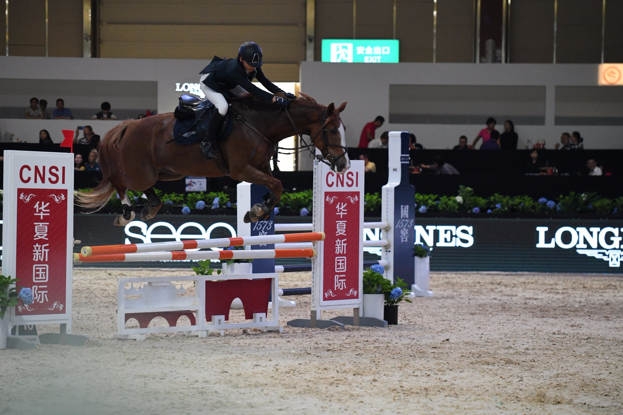 成都站"于下午迎来首场比赛,北京克来务马术俱乐部在"110cm俱乐 