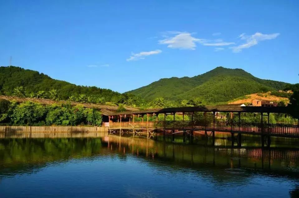 龙台山水蜜桃熟了汁甜如蜜等你来摘还能骑马摸鱼磨豆浆