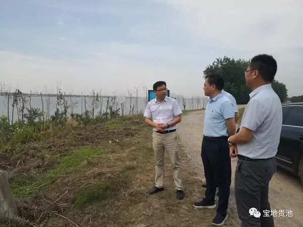 区委书记高峰赴部分镇街调研把脉基层发展