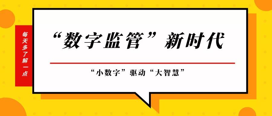 大数据开启瑞安自然资源"数字监管"新时代
