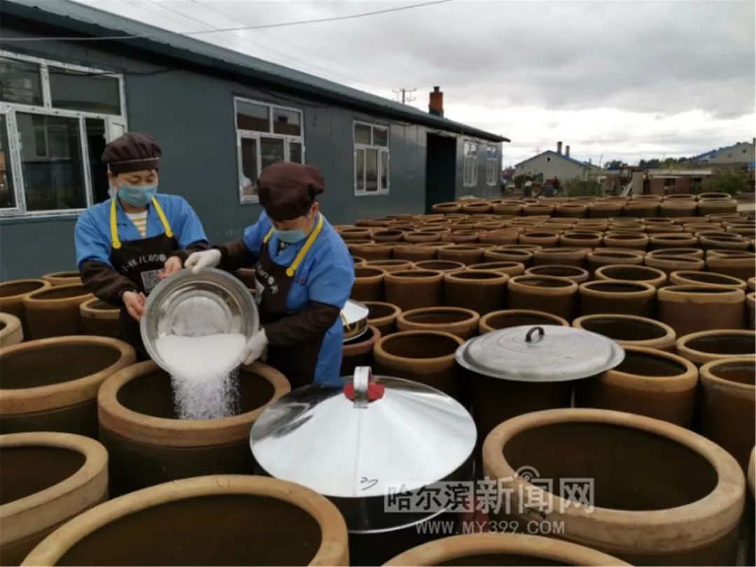 200口大缸"盘"大酱,用了4000斤巴彦大豆|乡亲们酱缸里捞宝,1年卖10吨