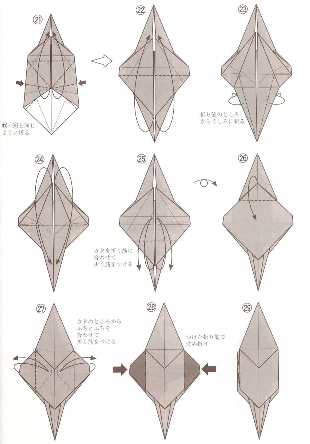 折异特龙图片