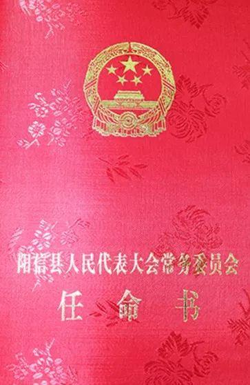 人民陪审员任命书图片