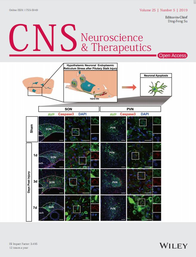 acquired temozolomide resistance in mgmt-deficient glioblastoma