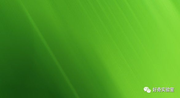 【生活】看绿色能保护视力?原来这些年我们都错了