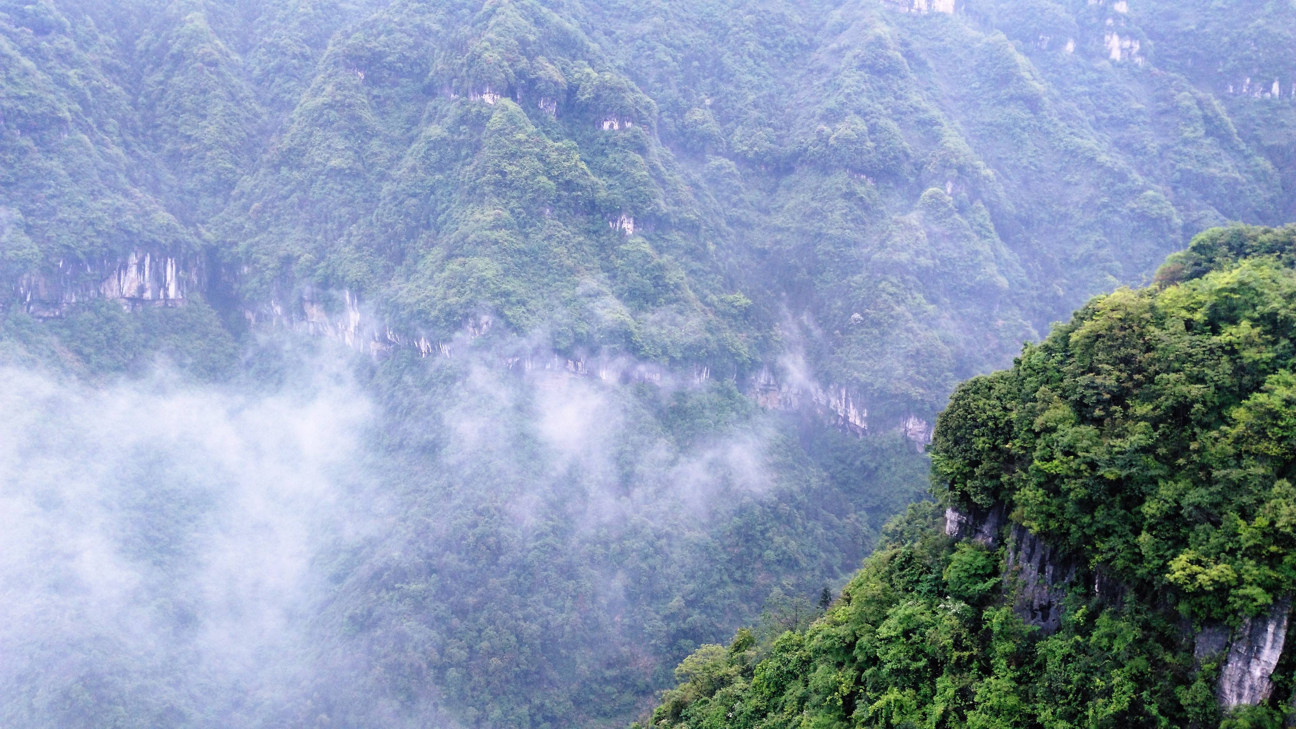 中国十大最美森林公园——天门山国家森林公园