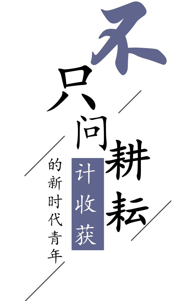 好故事刘泽只问耕耘不计收获的新时代青年