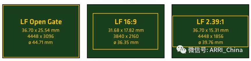 【摄影机】大画幅小机身，小身材大智慧！ARRI Mini LF全新摄影机技术答疑及著名摄影师曹郁老师的心得分享