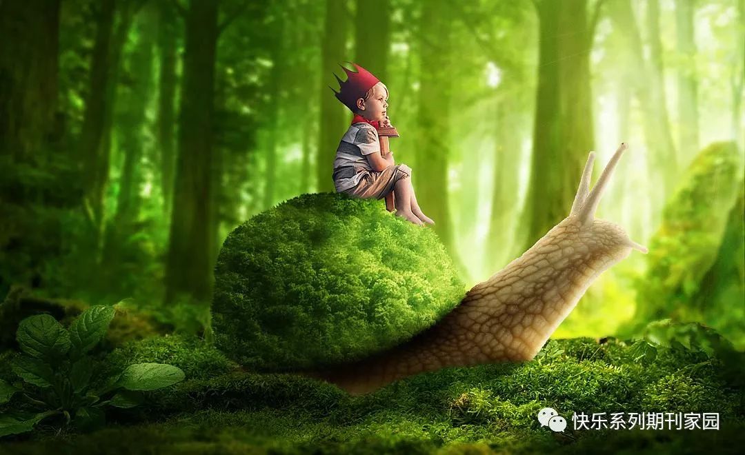 当你忍不住对孩子发火,请静心读读《牵一只蜗牛去散步》