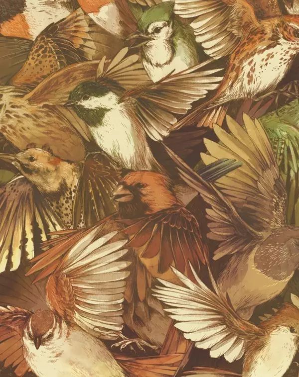 看看美国插画师teaganwhitehoneysorrow