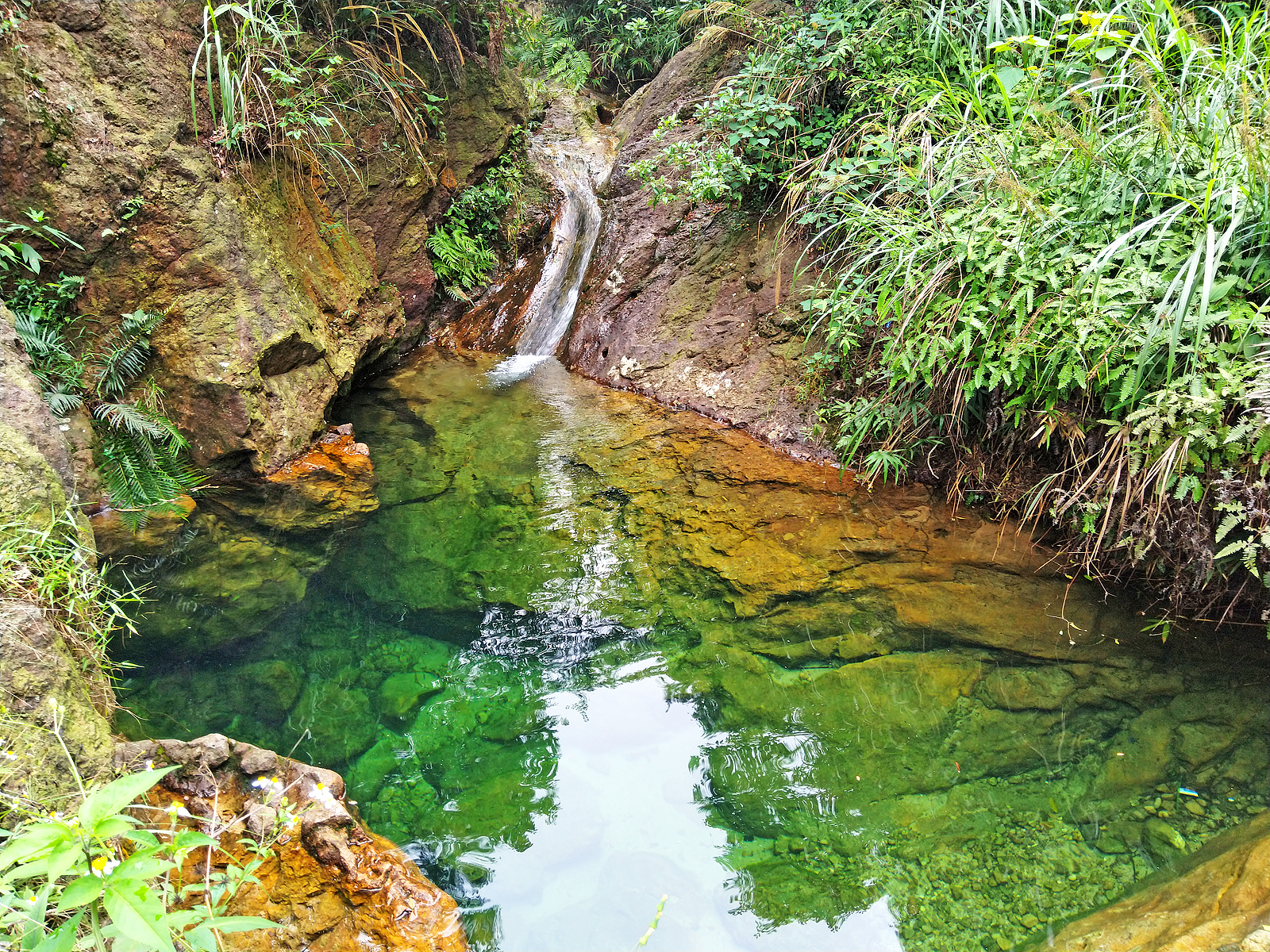 广东佛山境内也有网红水潭碧绿的玻璃水环境清幽适合玩水消暑
