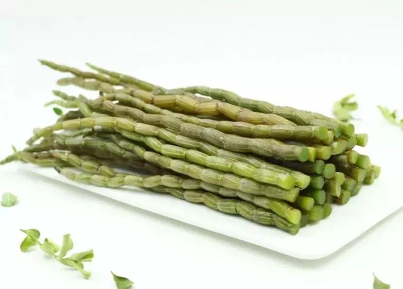 糖尿病,肠胃病一吃就好,铁皮石斛 西洋参为何这样神奇?