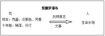 初中语文教师考试说课稿:《紫藤萝瀑布》