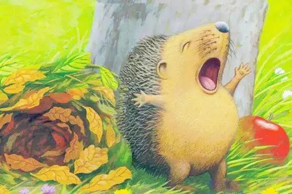 小刺猬的麻烦|一天一个睡前故事