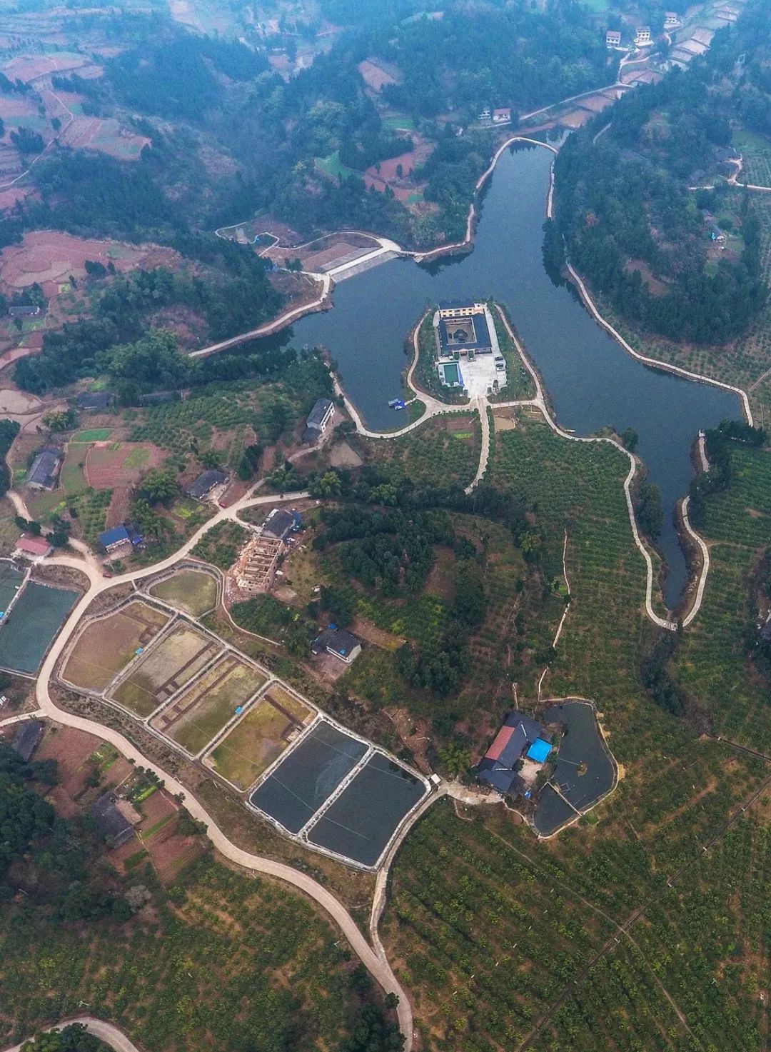 答记者问资阳建设四好农村路取得了哪些成效下一步将怎么干