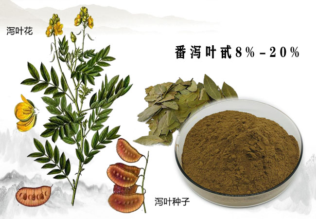 番 瀉 葉 fanxieye senna e foliu m 本品為豆科植物狹葉番瀉cassia