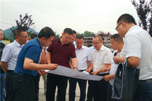 岳勇到游仙调研魏城河游仙段"河长制"工作