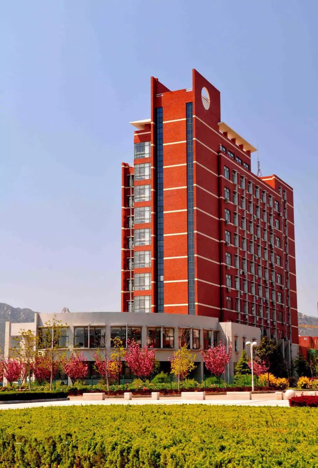 藏在五月的风的神圣里红色青岛的绿,在青大的校园里青岛的绿,在崂山