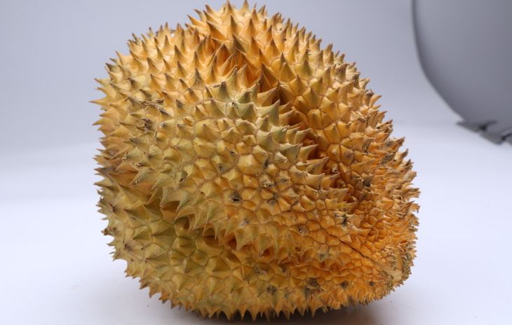 被誉为"果中之王", 一棵树能结400多颗果实,为何售价如此高?