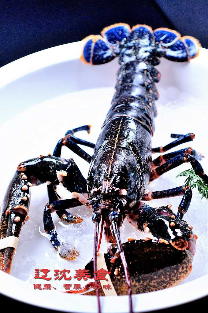 舌尖上的沈阳:赏味米其林,邂逅法式味蕾之旅