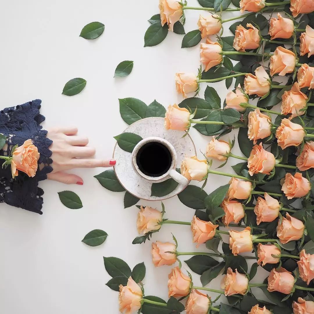 鲜花,咖啡和,美图