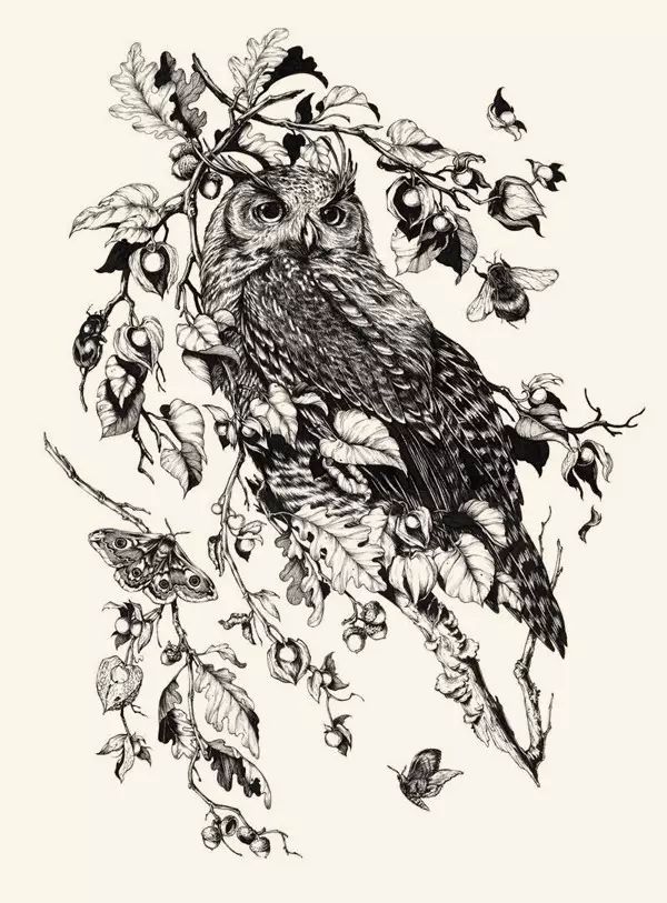 看看美国插画师teaganwhitehoneysorrow