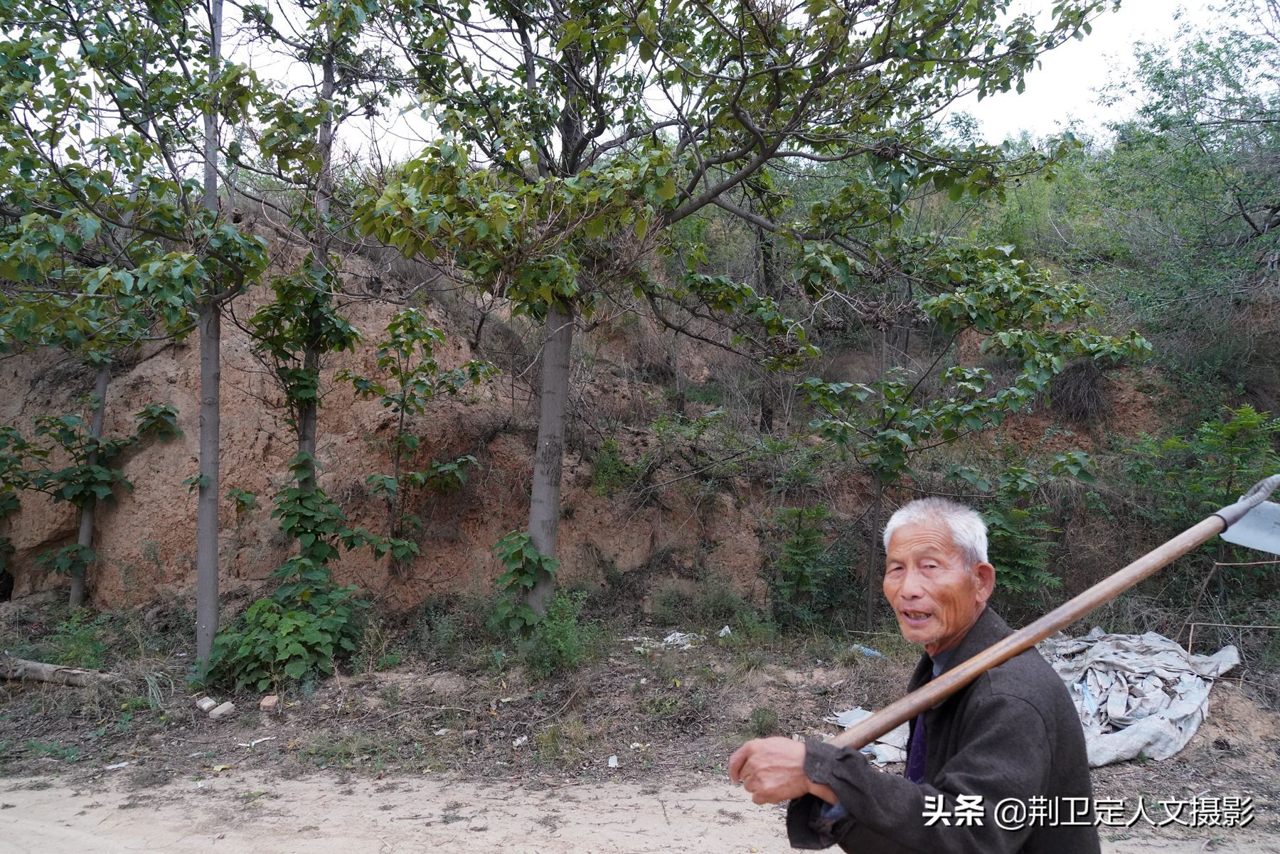 山西农村73岁老人独居荒沟种地30年,看他生活是啥样-搜狐大视野-搜狐新闻