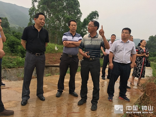 贺州市人大副主任廖成明深入凤翔镇同枝村考察扶贫项目