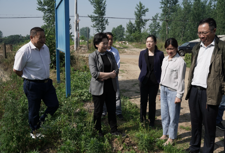毕道丽到尚市镇督查河湖长制工作