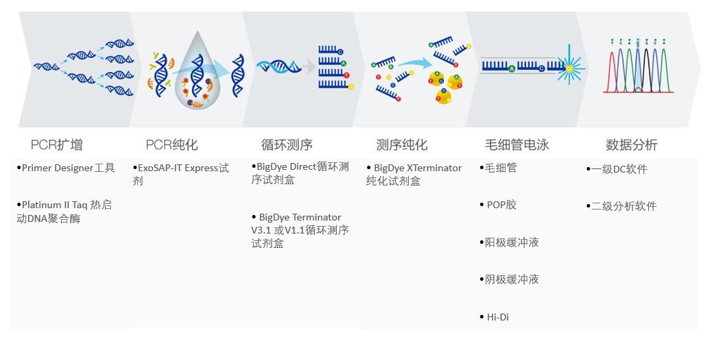 sanger弹道图片