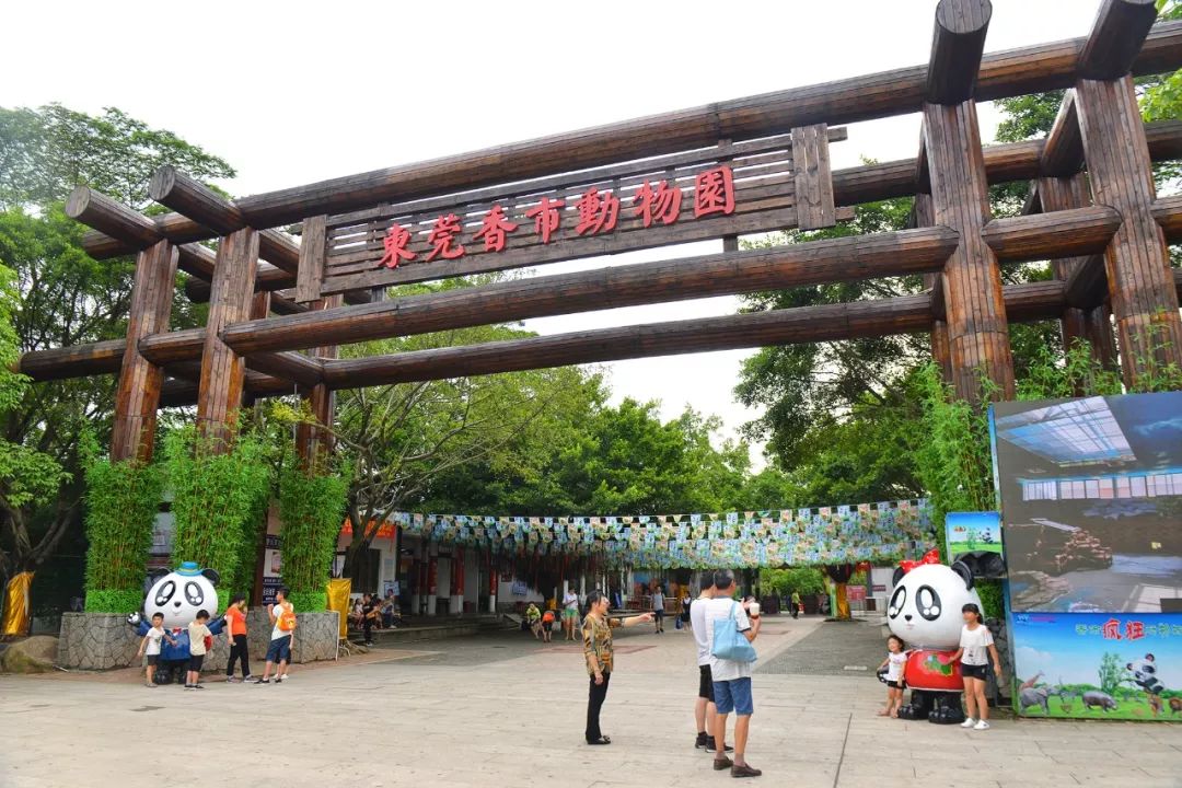 东莞香市动物园门票免费送啦快来一起萌动莞城