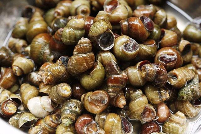 炒螺10人做9人错学会这种做法身边的朋友都能大饱口福