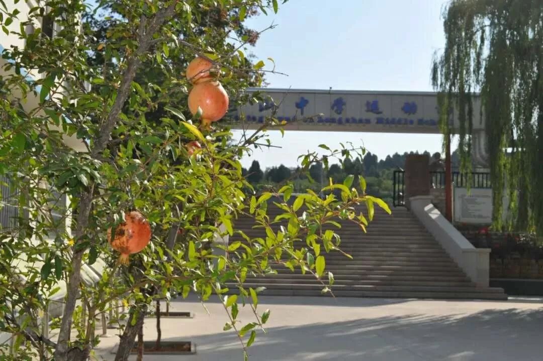 龙山中学校园定格十五岁青春正当时肥城市龙山中学初三年级毕业照合影