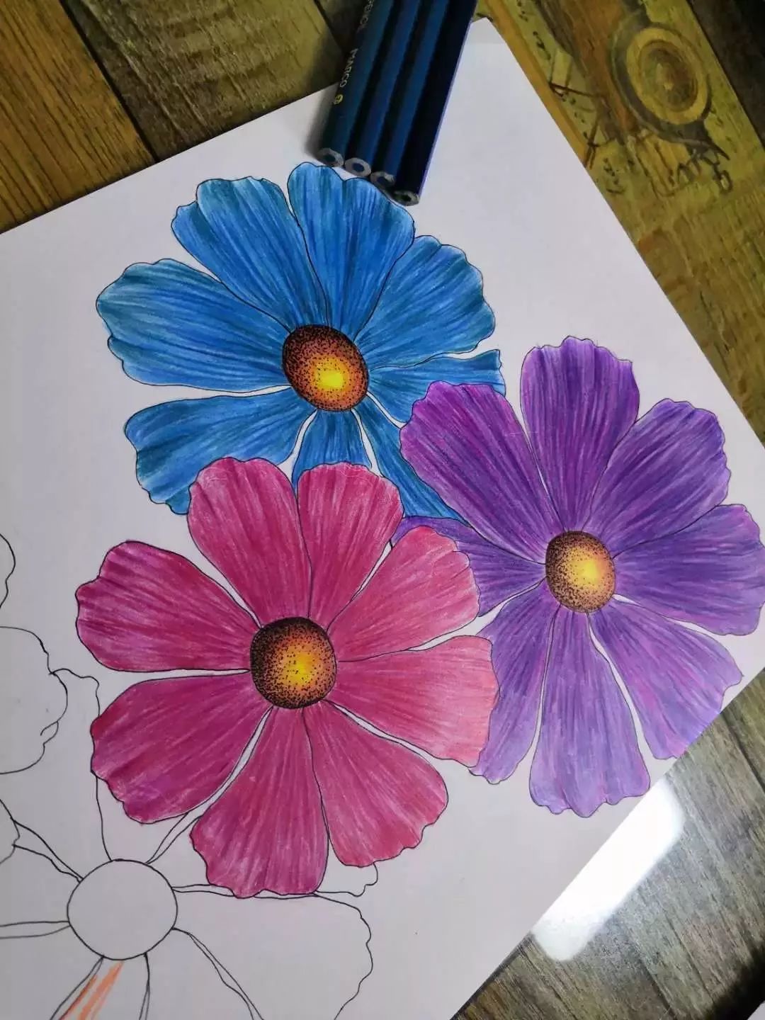 id七色鹿id戊戌我学习彩铅画有半年多了给老年生活带来很多乐趣
