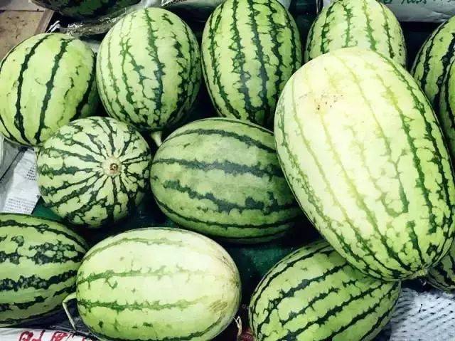 真甜真贵100元一个的甘美西瓜让果农嗅到新商机