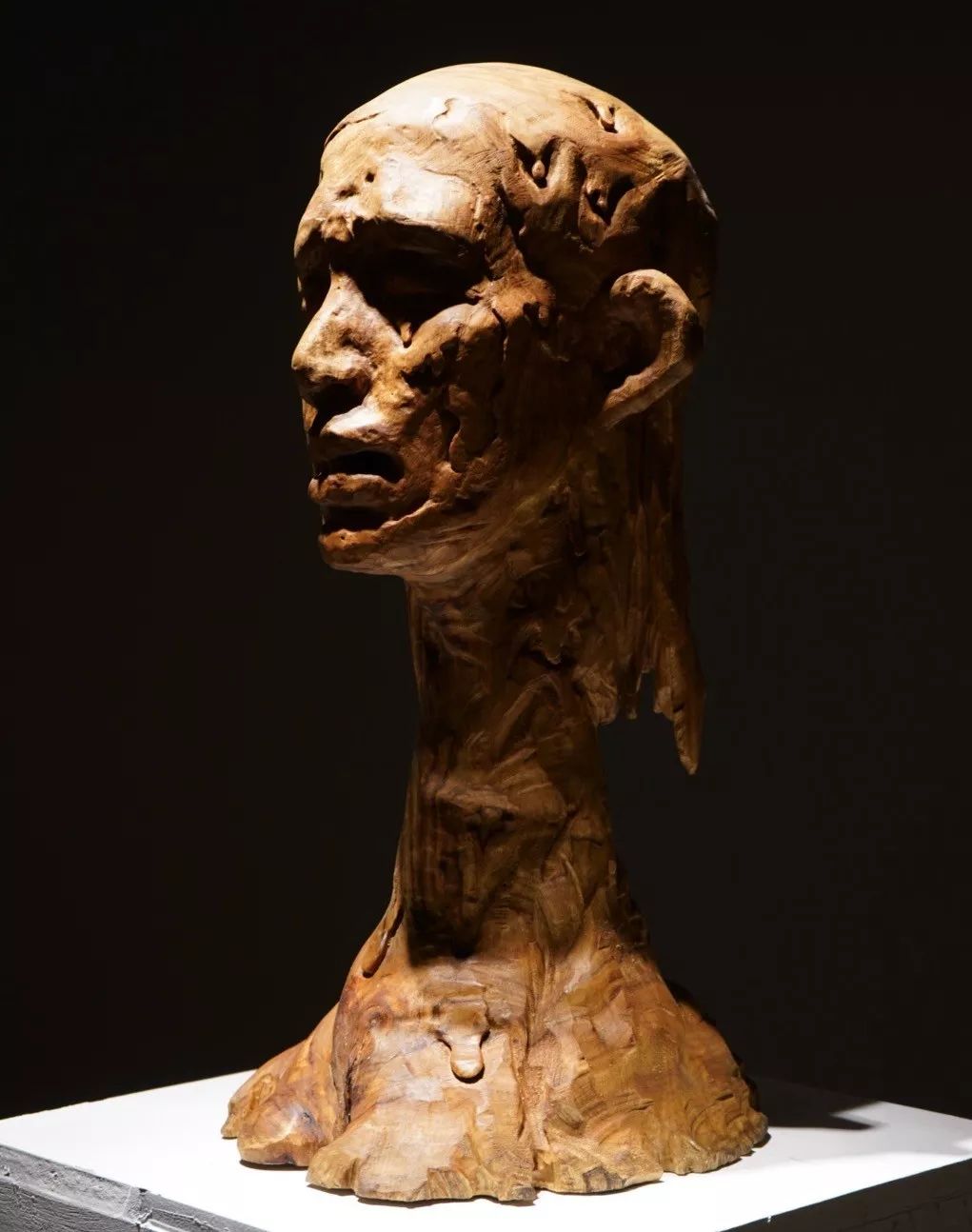 艺术人物鲁迅美术学院雕塑系刘哲毕业作品集欣赏