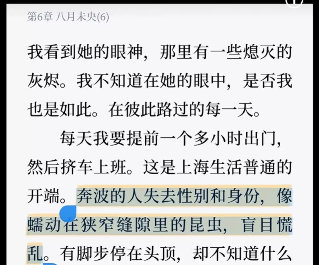 八月未央