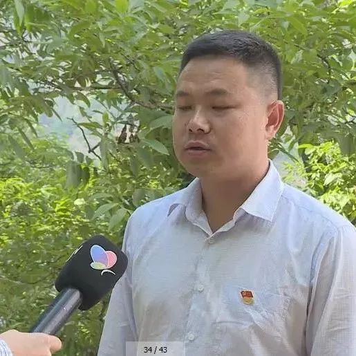 云龙县县长简历图片