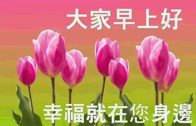 夏之清晨,晨之问候,祝你天天都顺意!早安!