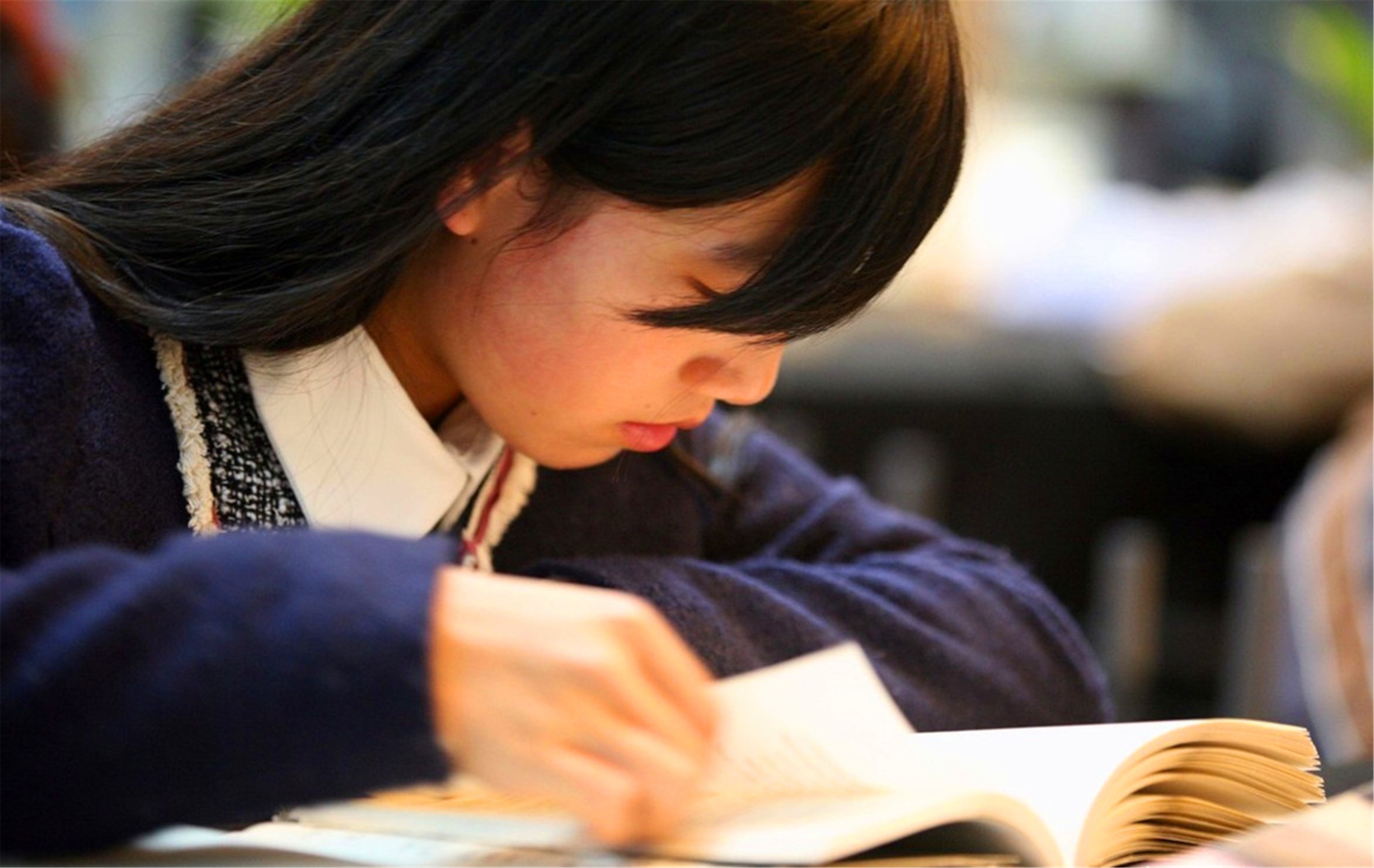 美知留学中心培训