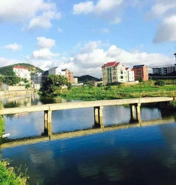 这是记者近日在江阴镇后陈村看到的美景.环境宜人.