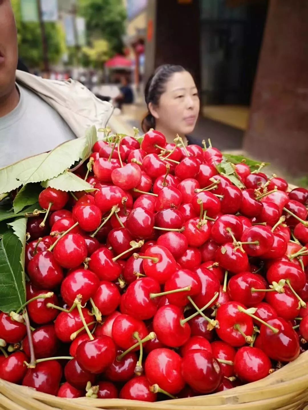 义乌汶川对口支援正宗汶川车厘子现在预订下周直送义乌5斤200元