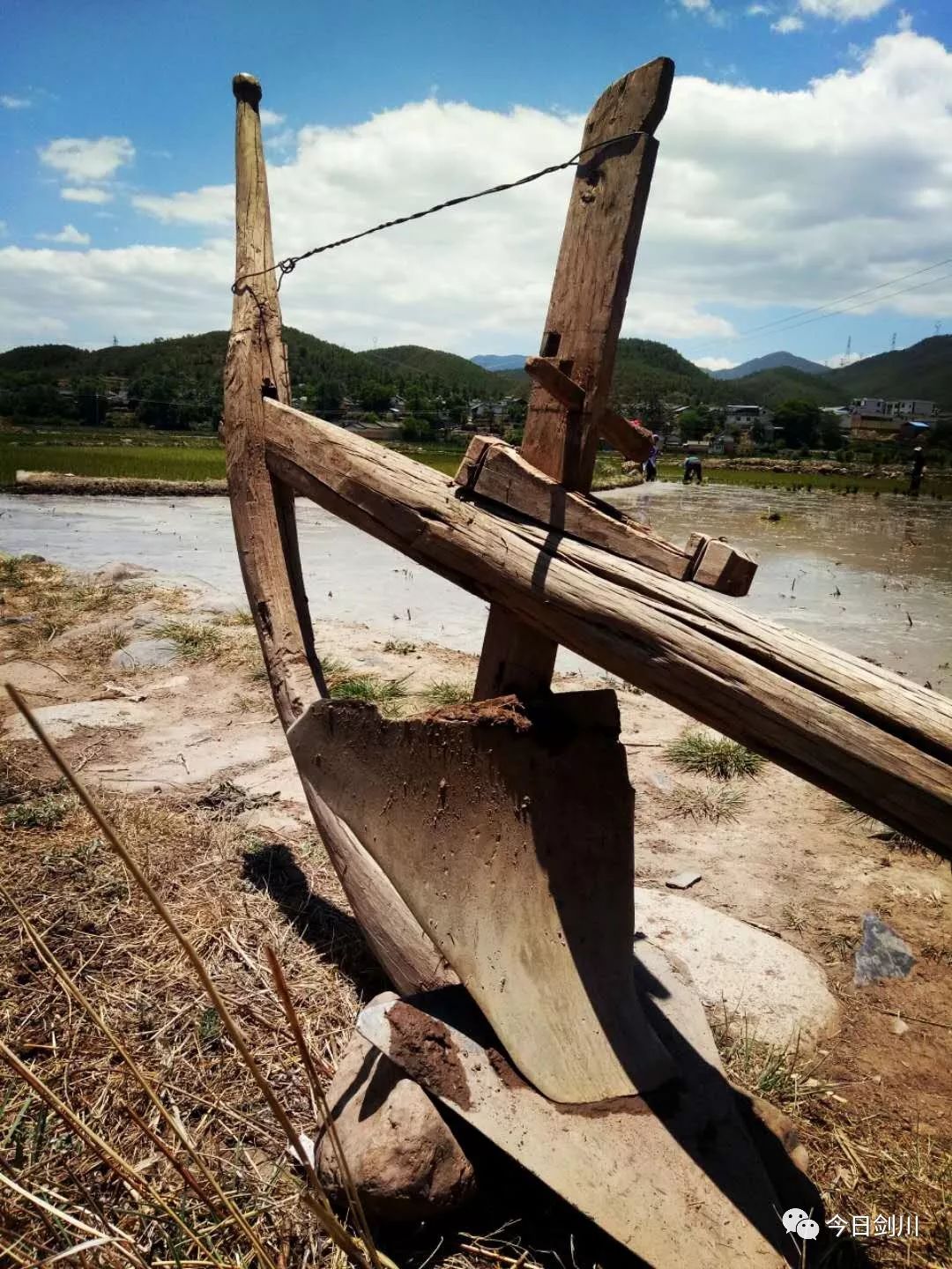 与日后的收成关系密切,农谚说得好:"立夏不下,犁耙高挂""立夏无雨,碓