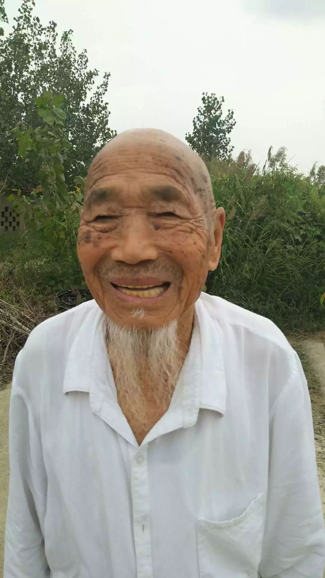 沂蒙人就是好丨临沂百岁老人拿出补贴安装40盏路灯 照亮乡亲回家路